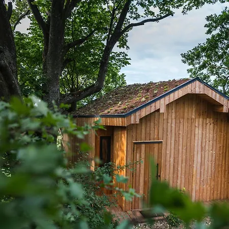 Luxury tent North-house Orava Velicna